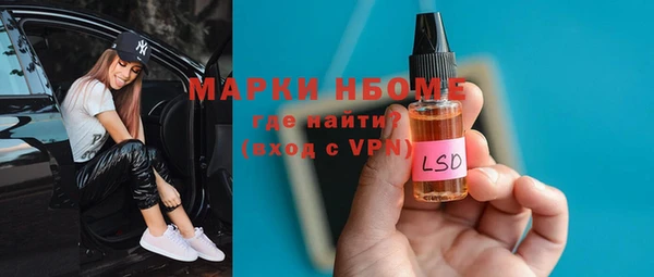 крисы Корсаков