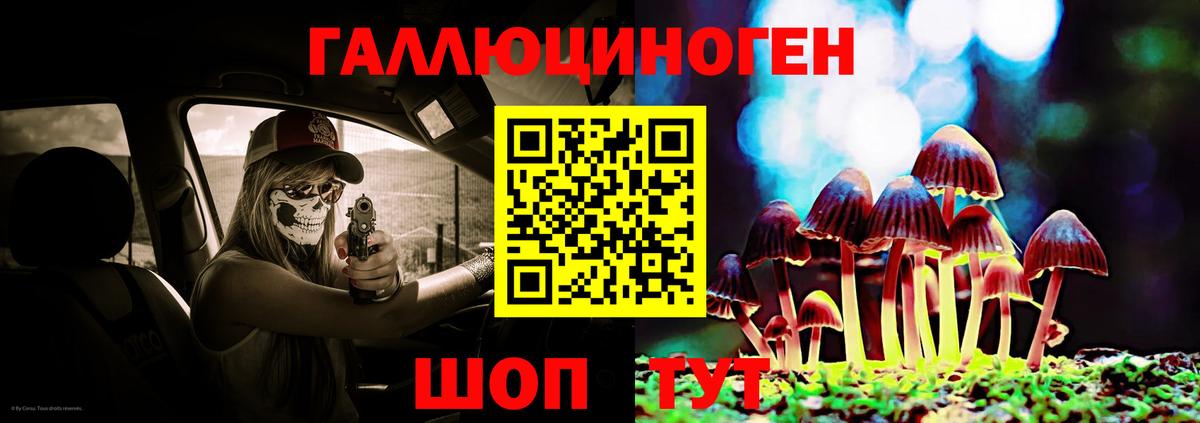 Галлюциногенные грибы Psilocybine cubensis  где продают   Северск 