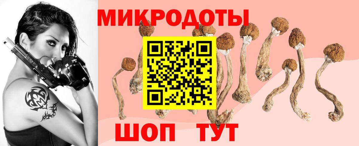 MDMA Северск