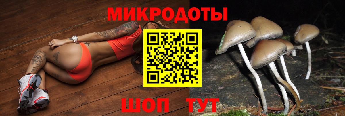 закладки  Псилоцибиновые грибы Magic Shrooms  Вход с VPN  Северск  Псилоцибиновые грибы MAGIC MUSHROOMS 