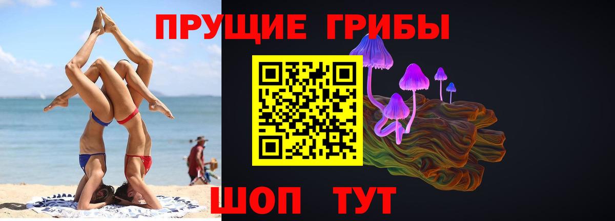 Галлюциногенные грибы GOLDEN TEACHER Северск